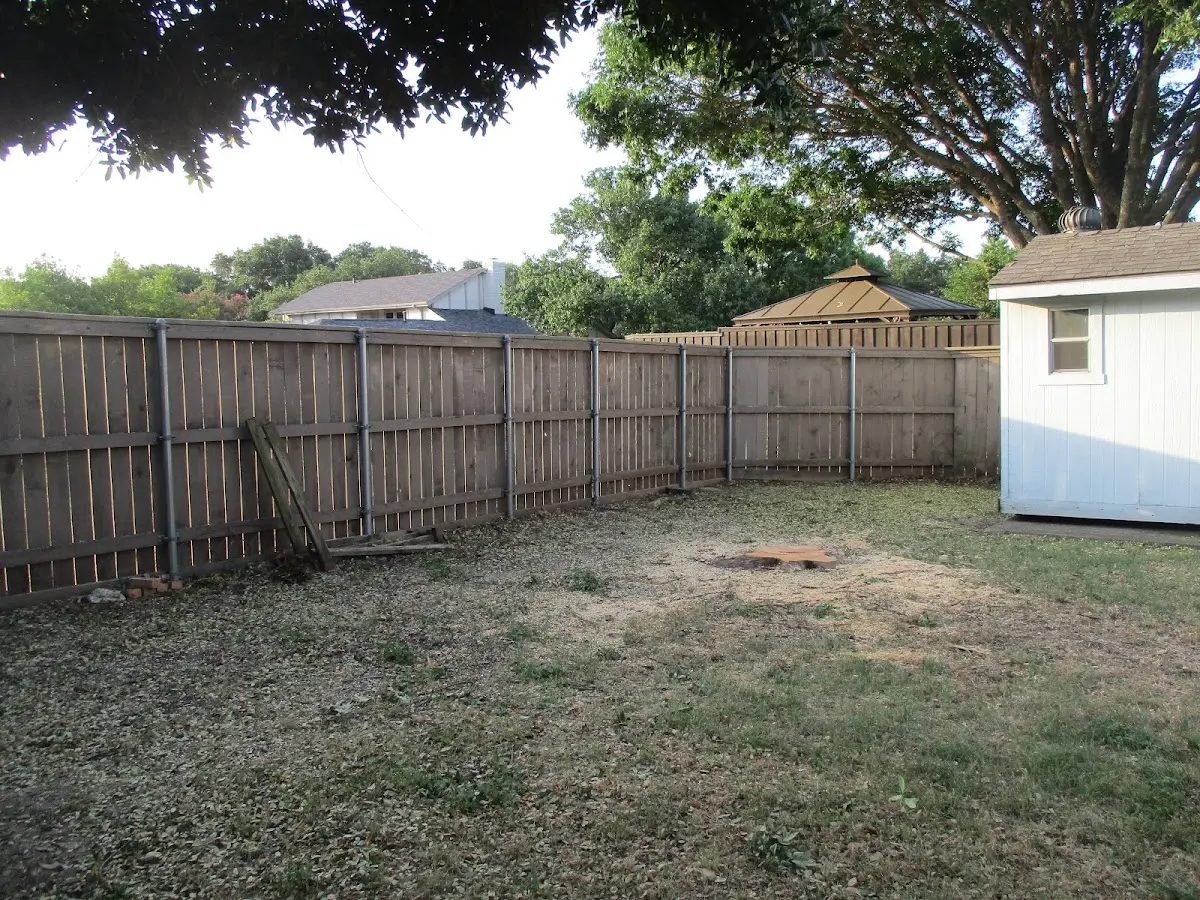 Cleared yard after professional tree removal in Garden Grove